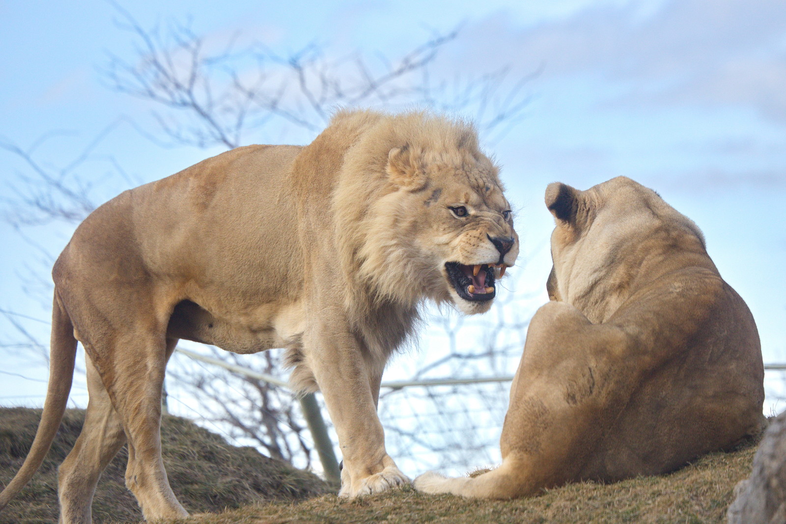 How to Constructively Confront Difficult Conversations in the Workplace