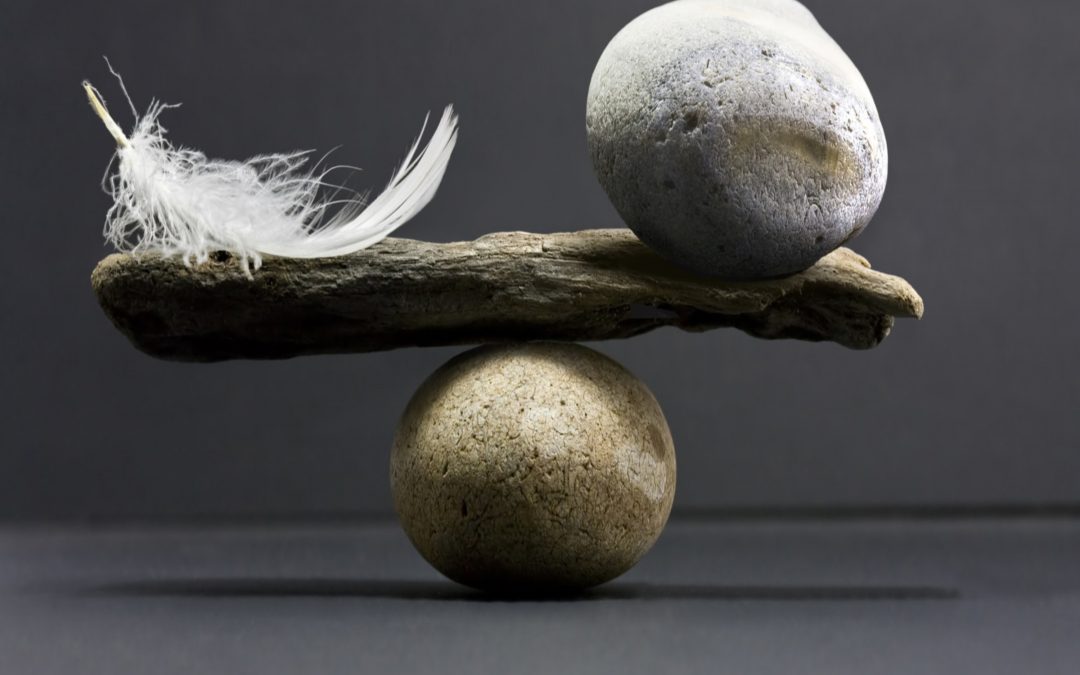 What You Need to Know About Balanced Leadership