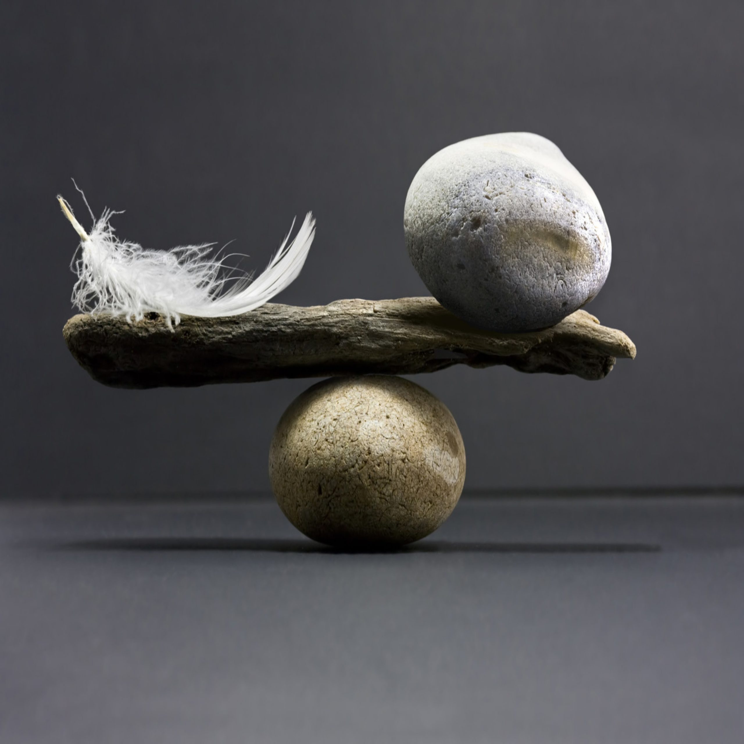 What You Need to Know About Balanced Leadership