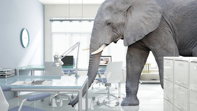 Simple Ways To Conquer The Elephant In The Room With Diane A. Ross